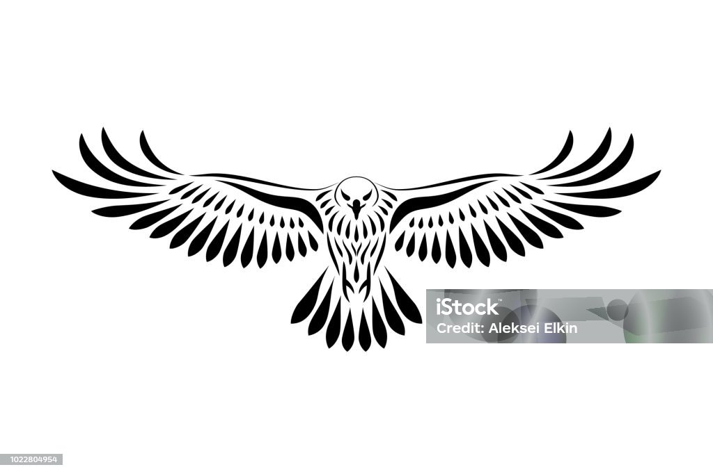 Engraving of stylized hawk Engraving of stylized hawk. Linear drawing. Decorative bird. Eagle - Bird stock vector