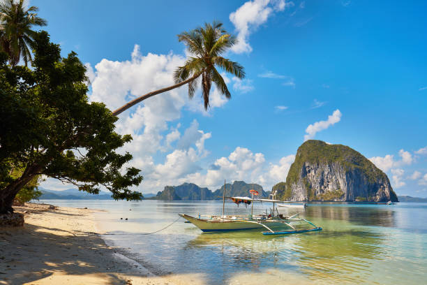 Paradise beach in Palawan, Phillippines Boat at a paradise beach in Palawan, Phillippines. el nido photos stock pictures, royalty-free photos & images