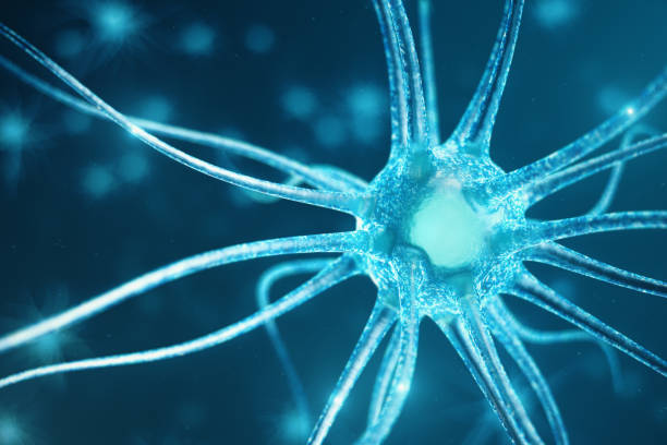 konceptualna ilustracja komórek neuronów z świecącymi węzłami linkowymi. synapsy i komórki neuronów wysyłające elektryczne sygnały chemiczne. neuron połączonych neuronów z impulsami elektrycznymi, ilustracja 3d - neurotransmission zdjęcia i obrazy z banku zdjęć
