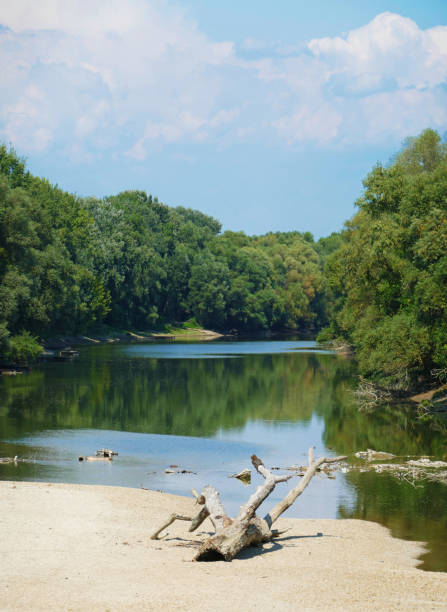istock The river Danube on a dry, summer day 1022813072