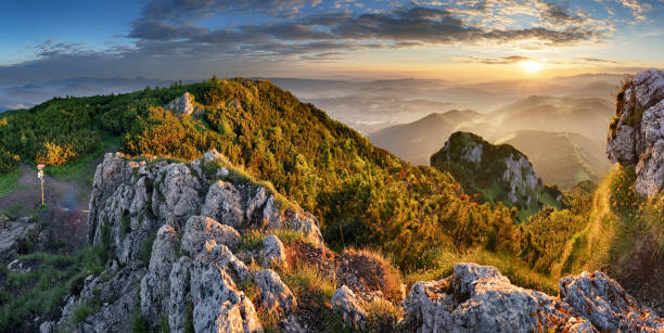 istock Mountain forest landscape under evening sky with clouds in sunlight. 1022816542
