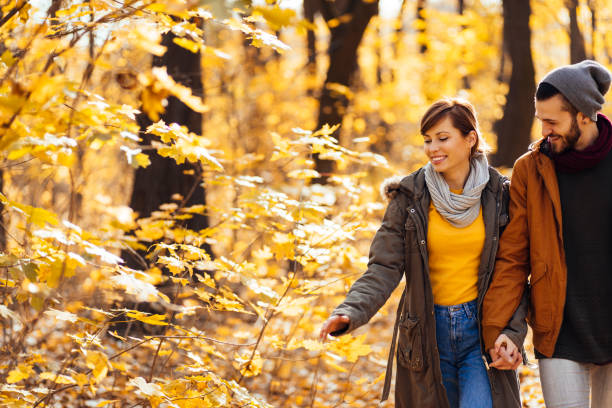 istock Beautiful forest in the autumn 1022823736