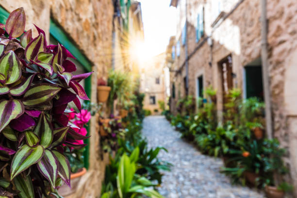 Flowers and a Small street in Mallorca