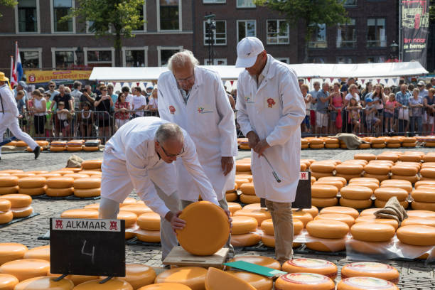 Group of inspectors testing and approving the quality of the cheese at the Alkmaar cheese market Alkmaar, Netherlands - July 20, 2018: Group of inspectors testing and approving the quality of the cheese at the Alkmaar cheese market cheese market stock pictures, royalty-free photos & images