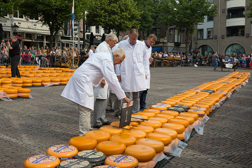 Alkmaar, Netherlands - June 01, 2018: Group of inspectors testing and approving the quality of the cheese at the Alkmaar cheese market