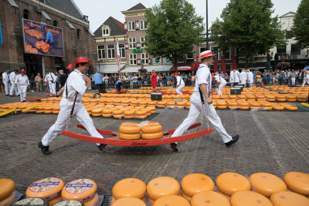 Traditional cheese carriers carry cheeses on a wooden stretcher  in front of the Waag building during the cheese market Alkmaar, Netherlands - June 01, 2018: Traditional cheese carriers carry cheeses on a wooden stretcher  in front of the Waag building during the cheese market cheese market stock pictures, royalty-free photos & images
