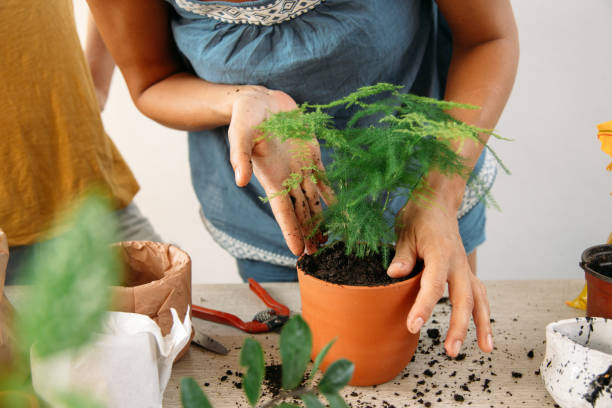 istock Close up shot of hands working with soil 1022837104