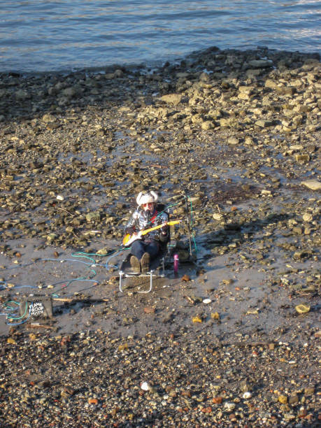 vista de un músico guitarrista tocando la guitarra eléctrica en el río - river stones audio fotografías e imágenes de stock