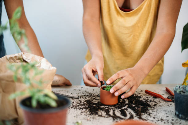 istock Planting flowers 1022840860