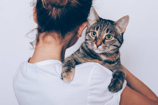 istock Unrecognizable young woman holding her striped cat 1022842414
