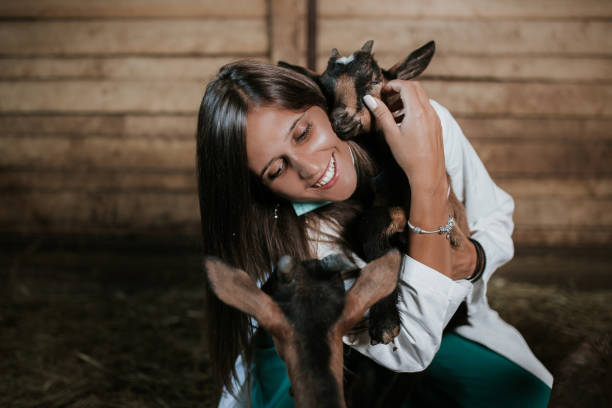 istock Woman veterinarian and goat 1022842810