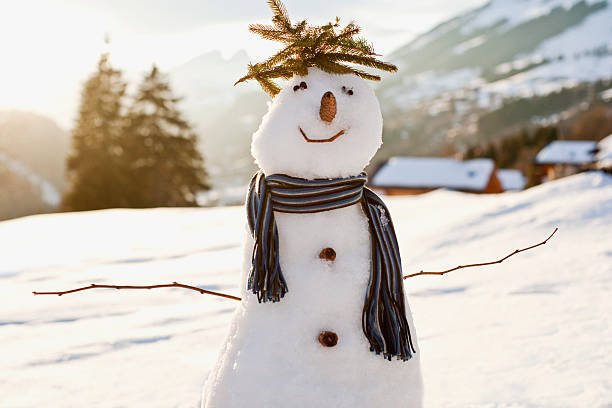 muñeco de nieve en campo nival - swiss winter fotografías e imágenes de stock