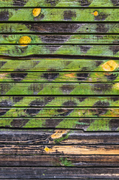 Wooden green color plank old cracked faded wall surface wallpaper background backdrop stock photo