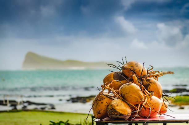Coconuts with Coin de Mire island in the background mauritius