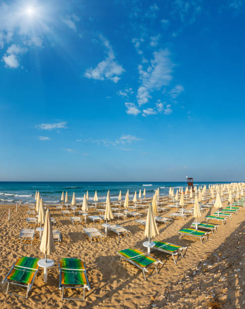 istock White sandy beach with sunshades and sunbeds 1022870478
