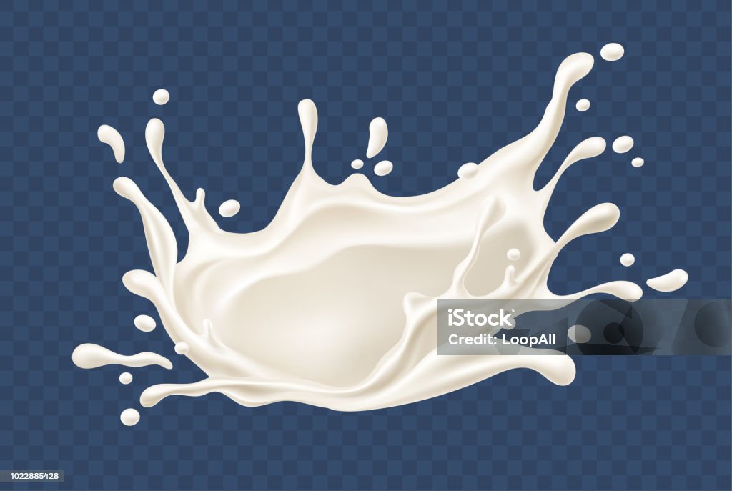 Milk splash realistic splashes and drops Milk splash. Realistic milky splashes and drops of dairy drink or yoghurt isolated on transparent background. EPS10 vector illustration. Gradient mesh used. Milk stock vector