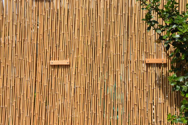 istock Background of bamboo fence 1022891930