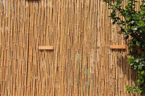 istock Background of bamboo fence 1022892264