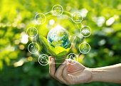 Hand mit Glühbirne gegen die Natur auf grünes Blatt mit Symbolen Energiequellen für erneuerbare, nachhaltige Entwicklung. Ökologie-Konzept. Elemente des Bildes von der NASA eingerichtet.