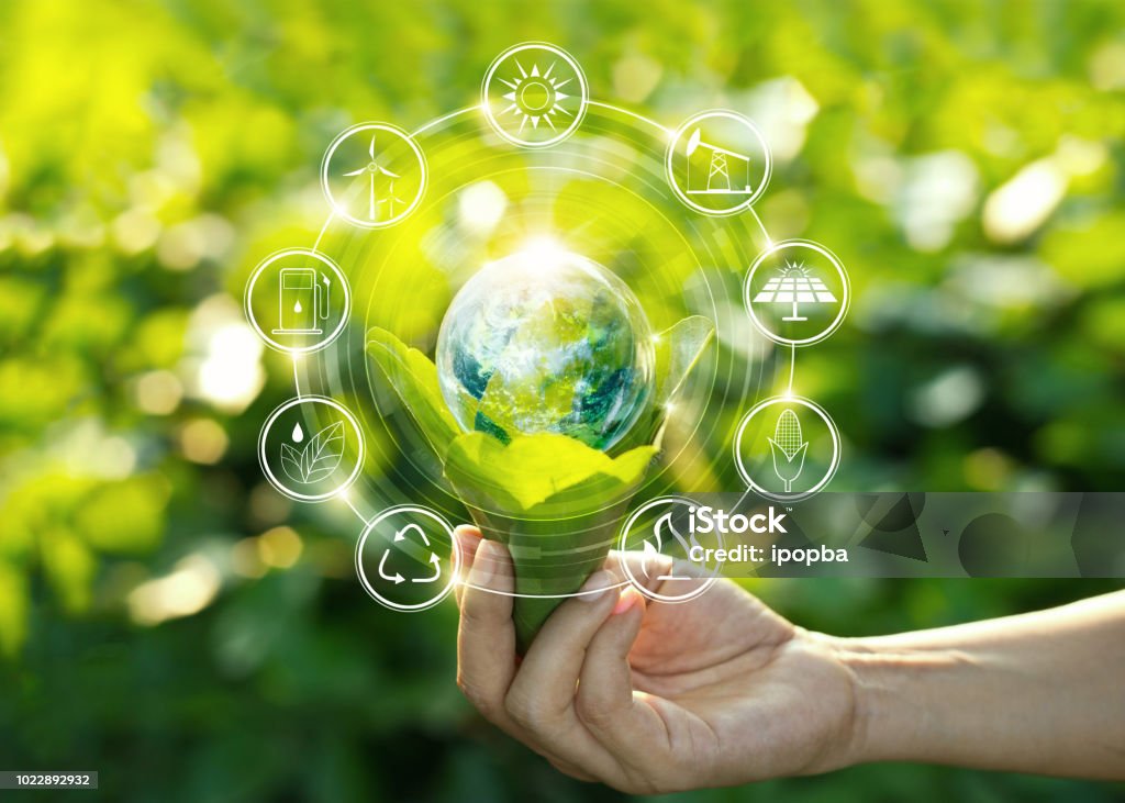 Hand holding light bulb against nature on green leaf with icons energy sources for renewable, sustainable development. Ecology concept. Elements of this image furnished by NASA. Fuel and Power Generation Stock Photo