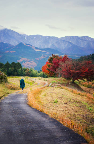 donna che si gode la natura autunnale da sola - footpath field nature contemplation foto e immagini stock