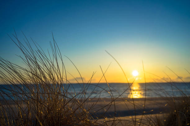 istock View of sunset in the ocean through grass. 1022904652