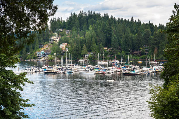 istock Harbour Surrounded by Forested Hills and Cloudy Sky 1022911108