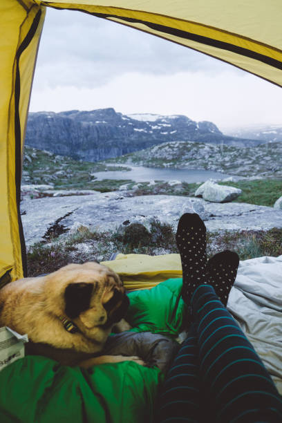 istock Sleeping tent with dog and looking at scenic mountains in Norway 1022911802