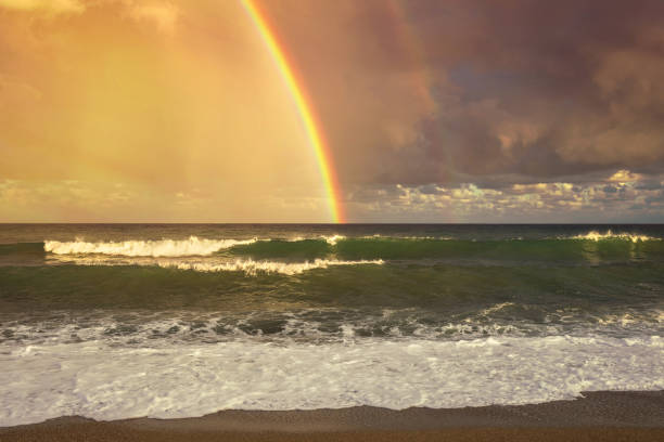 istock Rainbow over the sea and tropical beach. Top view. 1022912008