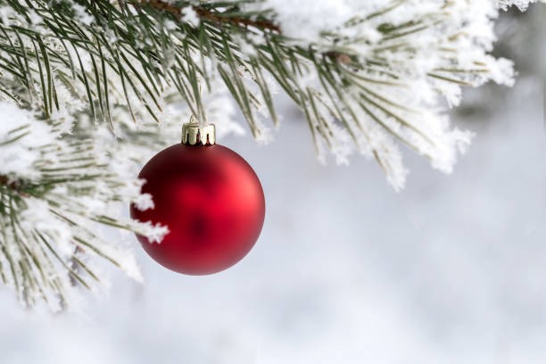 istock Christmas decorations on the pine branch 1022914374