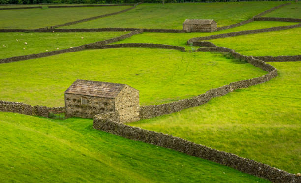 istock Swaledale Barns and stone walls 1022917558
