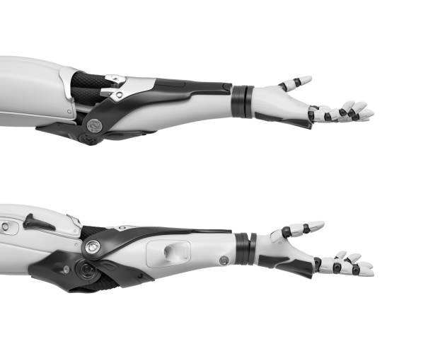 istock 3d rendering of two black and white robotic arms shown horizontally with open palms in friendly gesture 1022920840