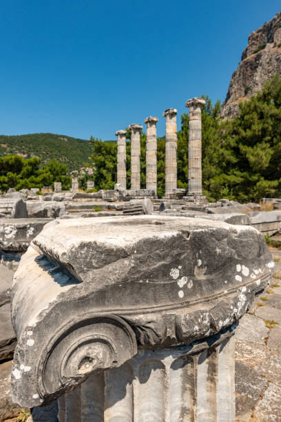riene, ancient city of Ionia about 6 miles (10 km) north of the Menderes (Maeander) River and 10 miles (16 km) inland from the Aegean Sea, in southwestern Turkey. Its well-preserved remains are a major source of information about ancient Greek town planning.
By the 8th century BC Priene was a member of the Ionian League, whose central shrine, the Panionion, lay within the city’s territory. Priene was sacked by Ardys of Lydia in the 7th century BC but regained its prosperity in the 8th. Captured by the generals of the Persian king Cyrus (c. 540), the city took part in several revolts against the Persians (499–494). Priene originally lay along the Maeander River’s mouth, but about 350 BC the citizens built a new city farther inland, on the present site. The new city’s main temple, of Athena Polias, was dedicated by Alexander the Great in 334. The little city grew slowly over the next two centuries and led a quiet existence; it prospered under the Romans and Byzantines but gradually declined, and after passing into Turkish hands in the 13th century AD, it was abandoned. Excavations of the site, which is occupied by the modern town of Samsun Kale, began in the 19th century.
Modern excavations have revealed one of the most beautiful examples of Greek town planning. The city’s remains lie on successive terraces that rise from a plain to a steep hill upon which stands the Temple of Athena Polias. Built by Pythius, probable architect of the Mausoleum of Halicarnassus, the temple was recognized in ancient times as the classic example of the pure Ionic style. Priene is laid out on a grid plan, with 6 main streets running east-west and 15 streets crossing at right angles, all being evenly spaced. The town was thereby divided into about 80 blocks, or insulae, each averaging 150 by 110 feet (46 by 34 m). About 50 insulae are devoted to private houses; the better-class insulae had four houses apiece, but most were far more subdivided. aydin - turquía. 03 de junio, ruinas de la antigua ciudad de priene. soke, aydin - turkey.priene es una antigua ciudad helenística situada justo al norte de mileto en turquía occidental. fue una antigua ciudad griega de santo y el inicio de un importan