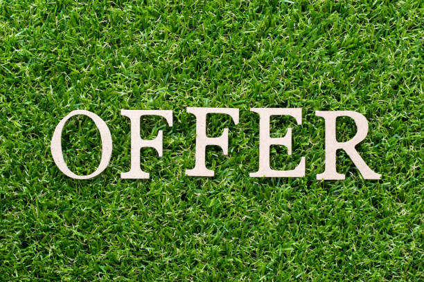 istock Wood alphabet in word offer on artificial green grass background 1022921198