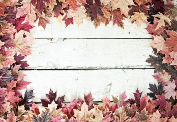 istock Autumn Fall Maple Leaves Border on Old White Wood Background 1022924570