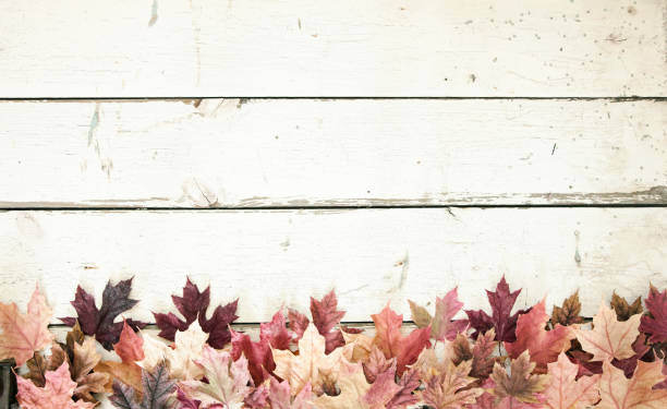 istock Autumn Fall Maple Leaves Border on Old White Wood Background 1022924626