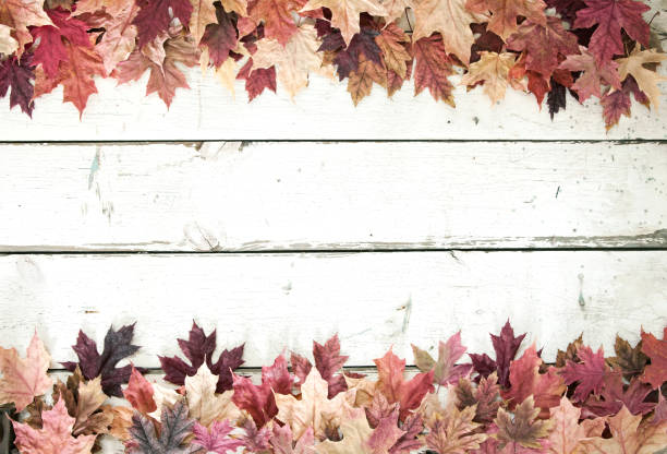 istock Autumn Fall Maple Leaves Border on Old White Wood Background 1022924680