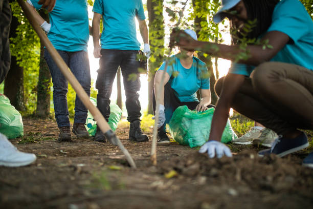 istock Unrecognizable People Planting Tree In Park 1022925512