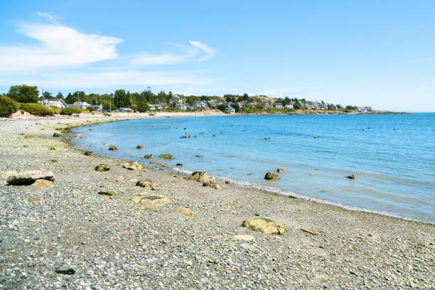 istock Pebble Beach in Victoria, Canada 1022931950