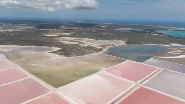 Photo of rose caribbean salt lake Bonaire island aerial drone top view