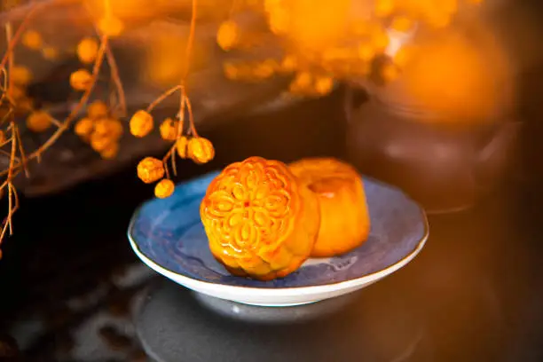 Chinese festival, the family reunited for the Mid-Autumn Festival, enjoying moon cakes,