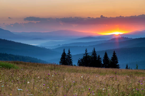 istock Summer sunrise in Bucovina, Romania 1022951894