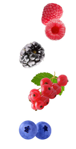 istock Flying fresh berries isolated on white background 1022952078
