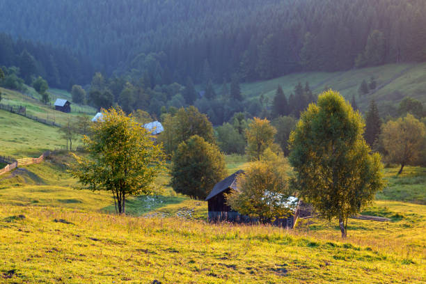 istock Sunrise in Bukovina 1022952448