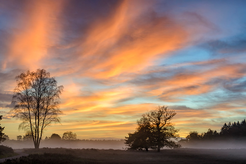 Colorful winter sunset over the fog covered plains in nature