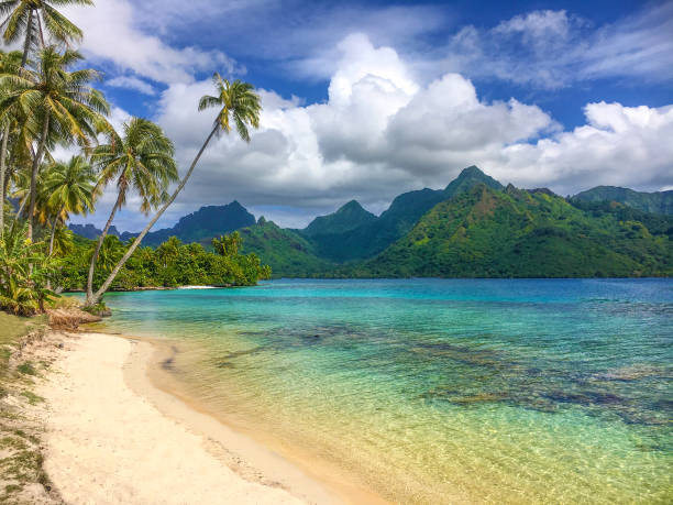 ta'ahiamanu plage - sea zen like landscape water photos et images de collection