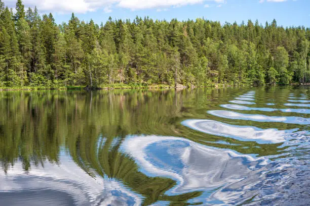 Summerday in the Lakeland of South Sweden.
The reflections of the forest and the sky on the water are deformed by the bow wave of a passing ship to fanciful forms. Sweden, Dalsland, Haverud, Vaenern.