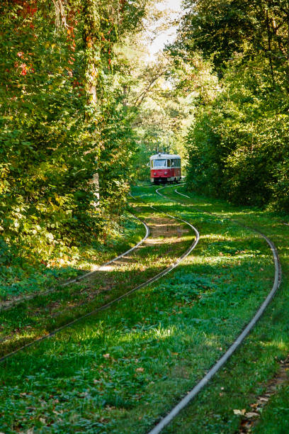 istock Tram and tram rails in colorful forest 1022965008