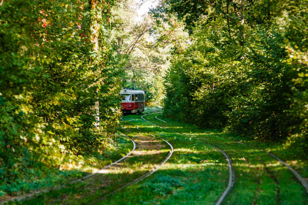 istock Tram and tram rails in colorful forest 1022965026