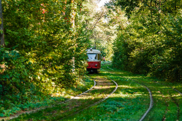istock Tram and tram rails in colorful forest 1022965054